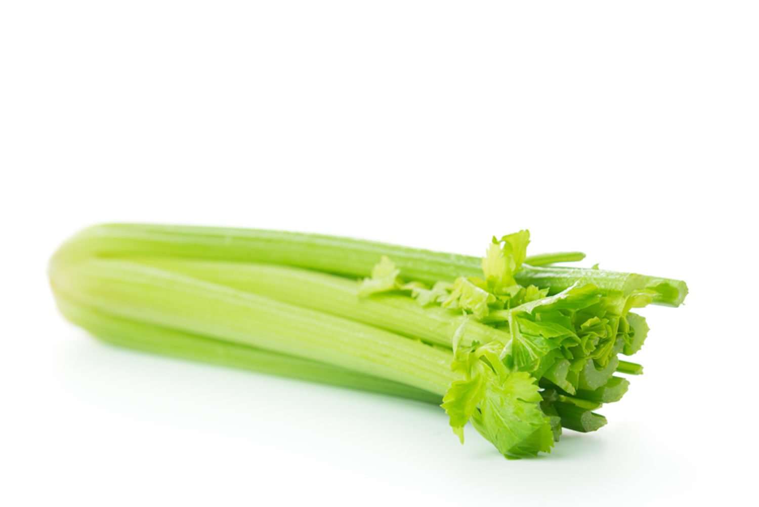 celery. celery drink