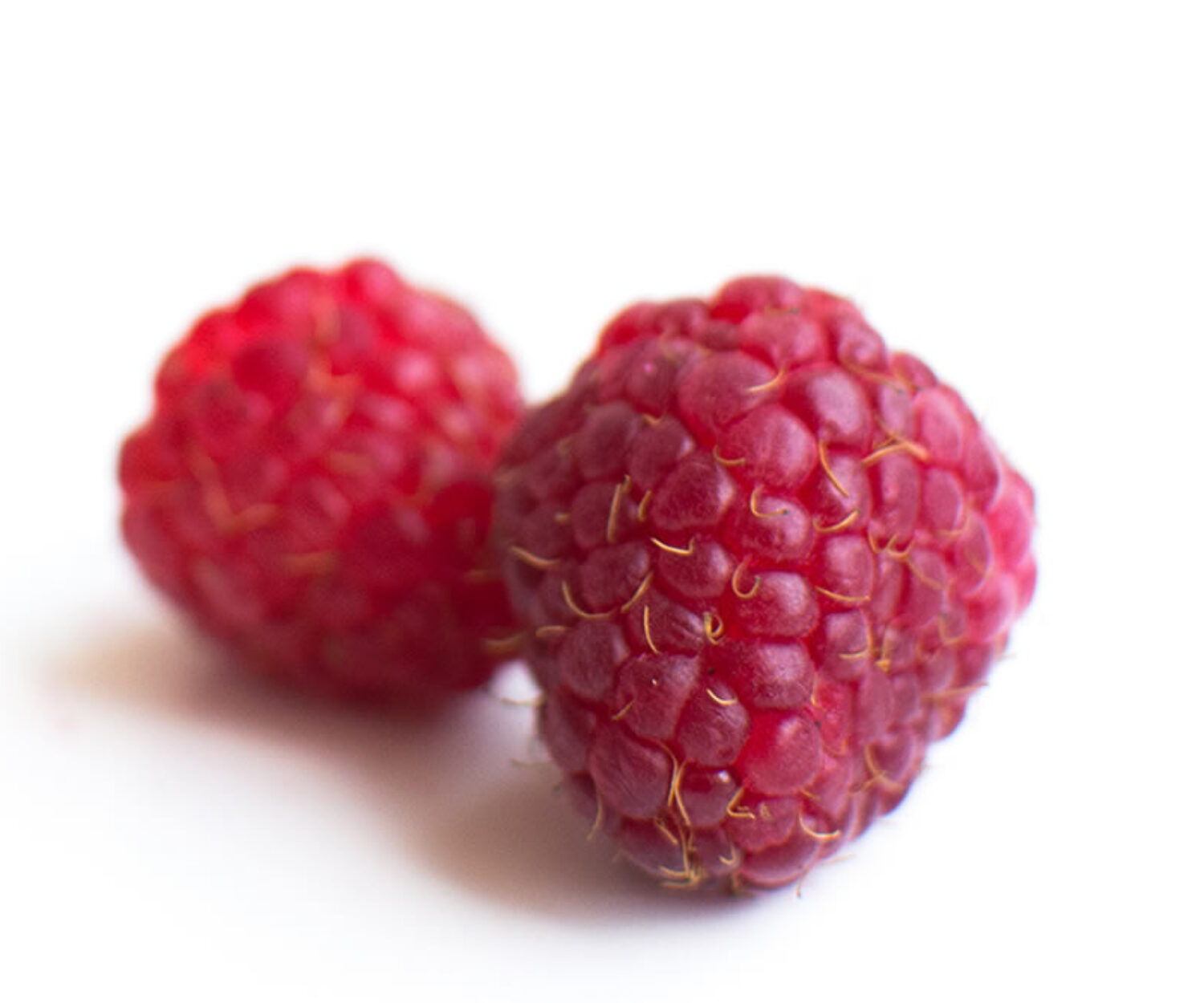 Frambuesa. Aceite de frambuesa