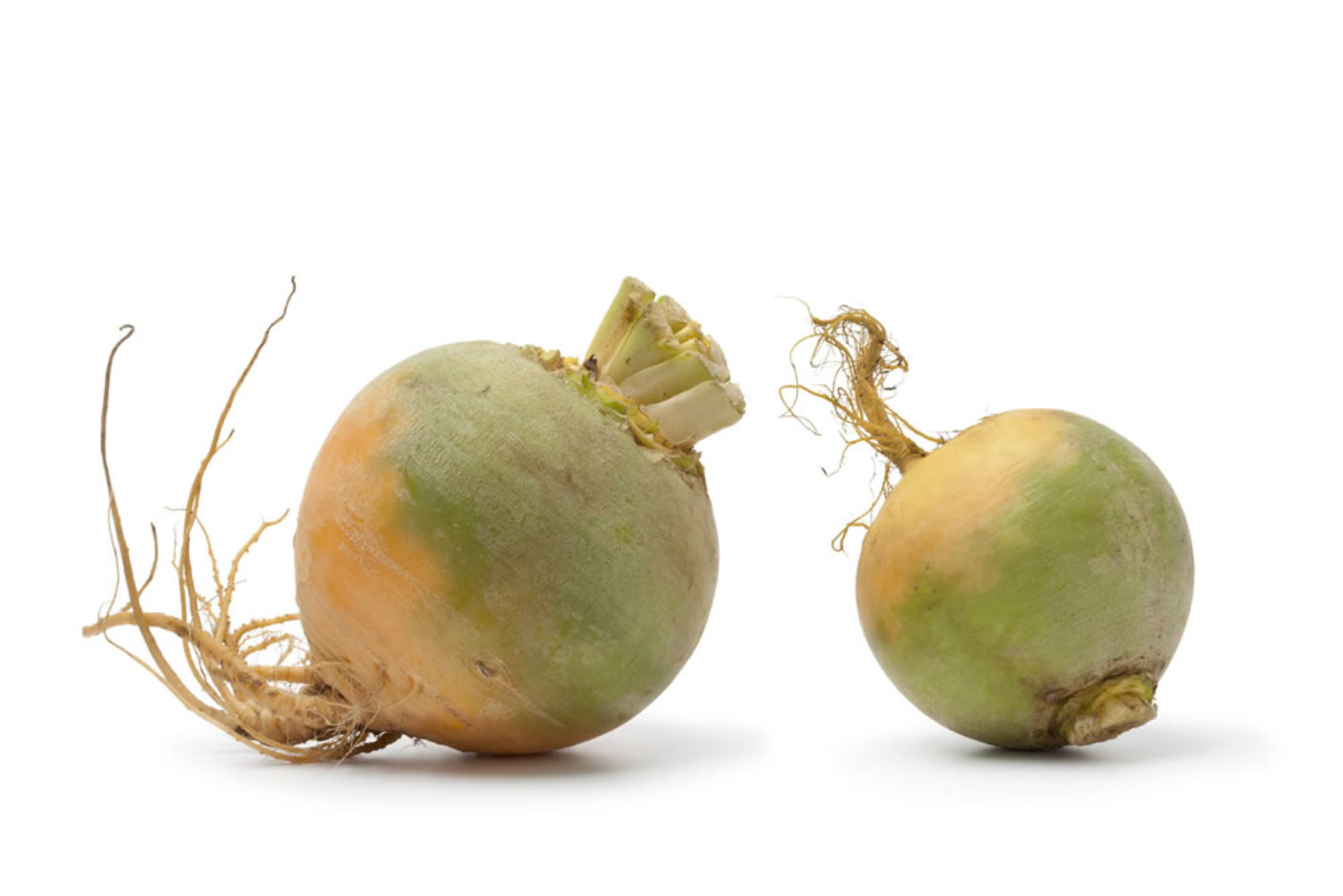 turnip. turnip drink