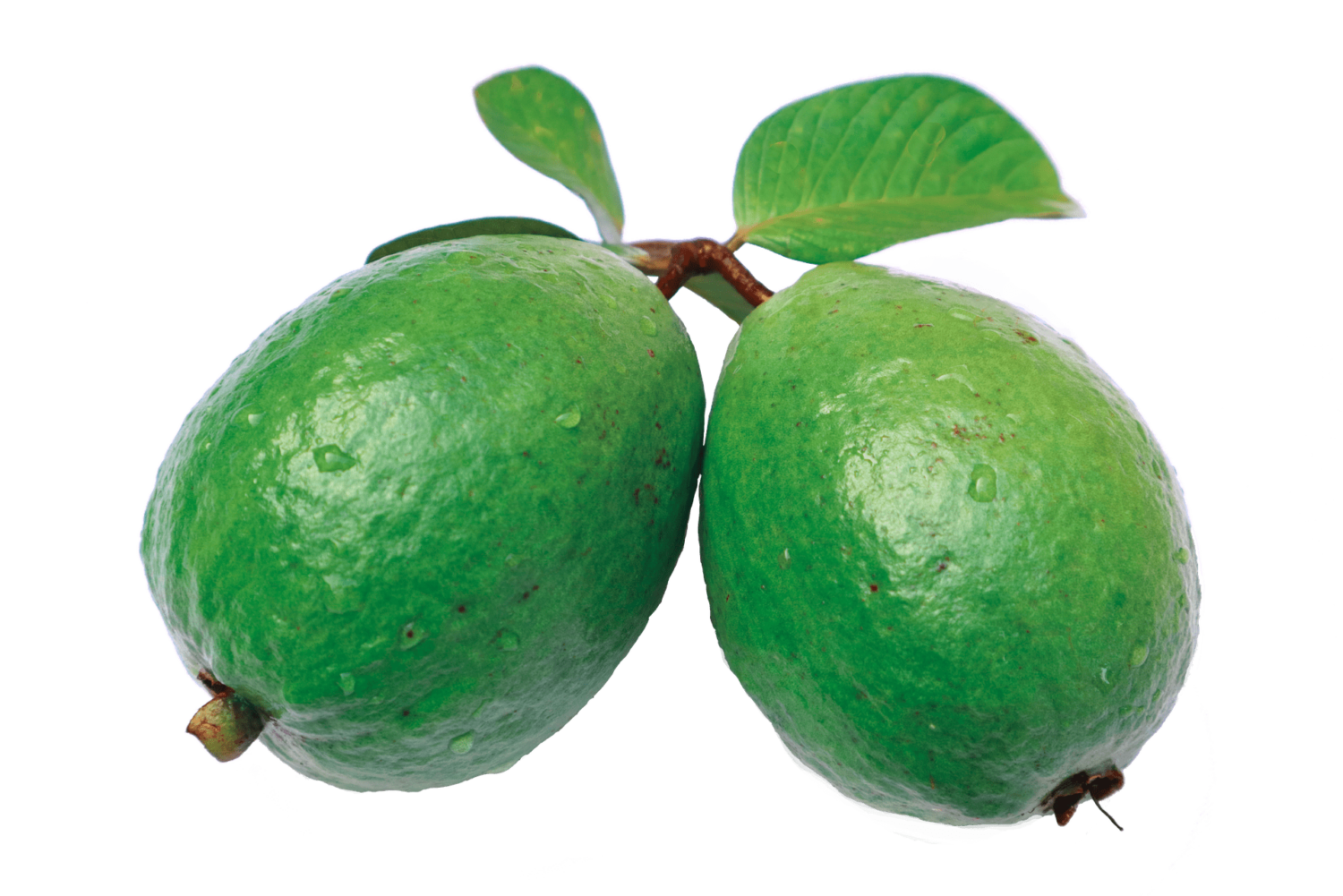 pink guava