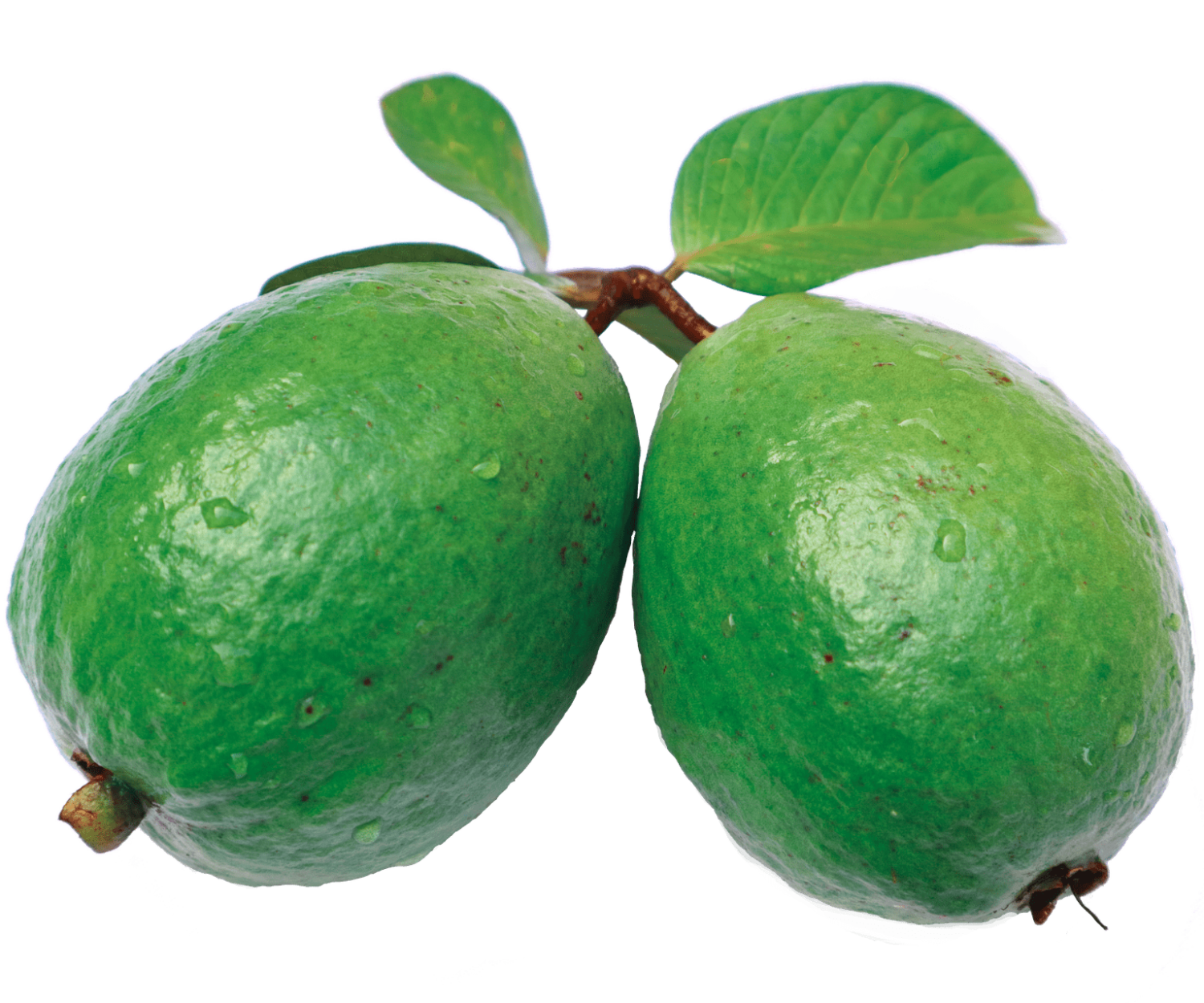 pink guava