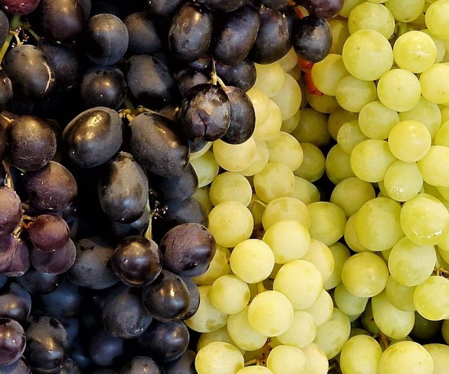 grape