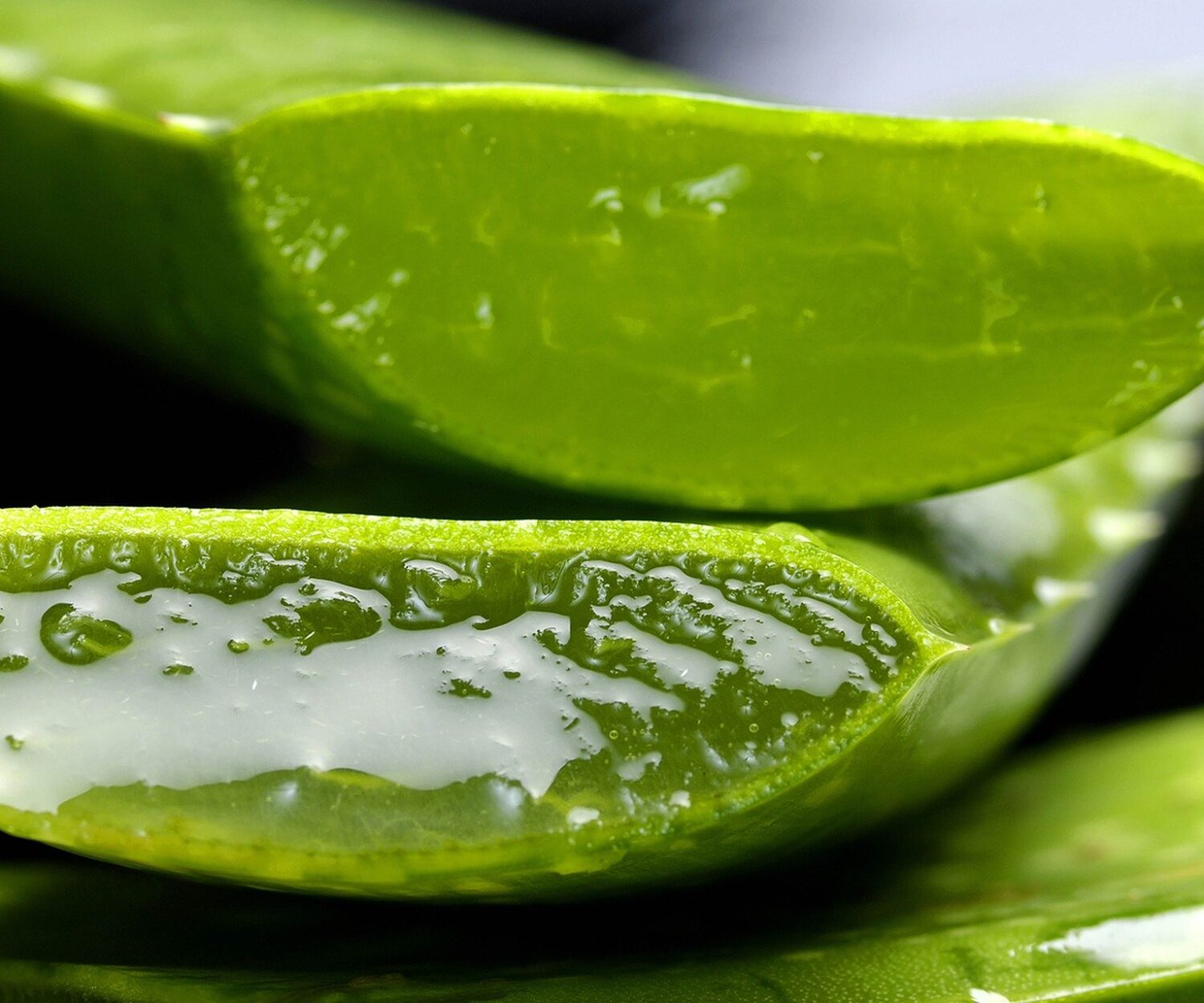 aloe dices
