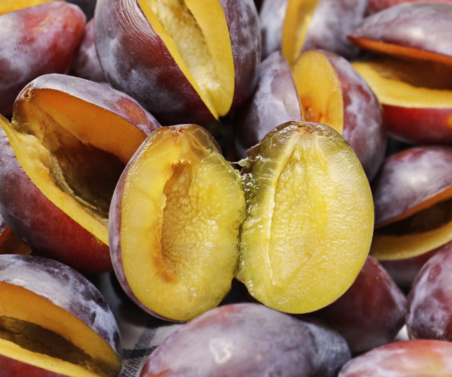 plum in halves